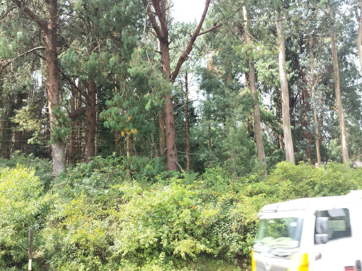 Stellar Luxury Homes Ooty Bagian luar foto